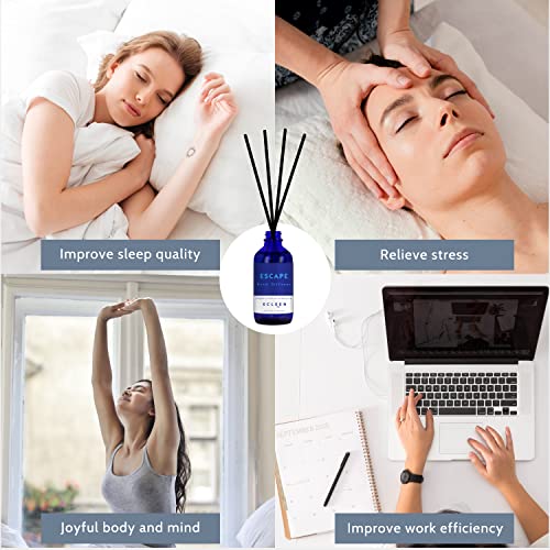 Aromatherapy Reed Diffuser Set with 6 Rattan Sticks - 3.7 oz (110ml)