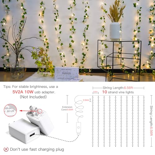 Suddus LED Ivy Vine Curtain Lights 6.5x6.5ft with Remote
