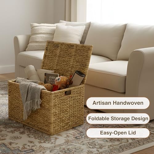30-Inch Handwoven Wicker Storage Trunk with Removable Liner and Lid