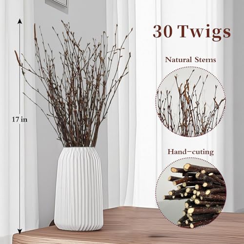 17-Inch Natural Birch Branches, Dried Twigs for Rustic Decor (30 Pack)