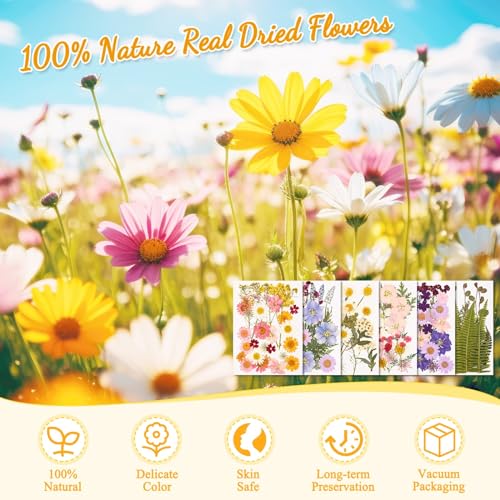 124 Pcs Natural Dried Pressed Flowers and Leaves Kit with Tweezer for Crafts