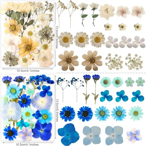 221 Pcs Natural Dried Pressed Flowers & Butterfly Stickers for Resin Crafts
