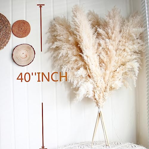 40-Inch Tall Pampas Grass Stems, Set of 10 Dried Floral Decor for Floor Vases