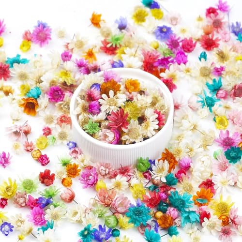 300 Pcs Mini Dried Flowers Bulk for Resin Art, DIY Crafts & Jewelry Making