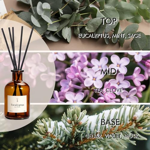 Eucalyptus Reed Diffuser Set - 2 Pack Long-Lasting Home Fragrance
