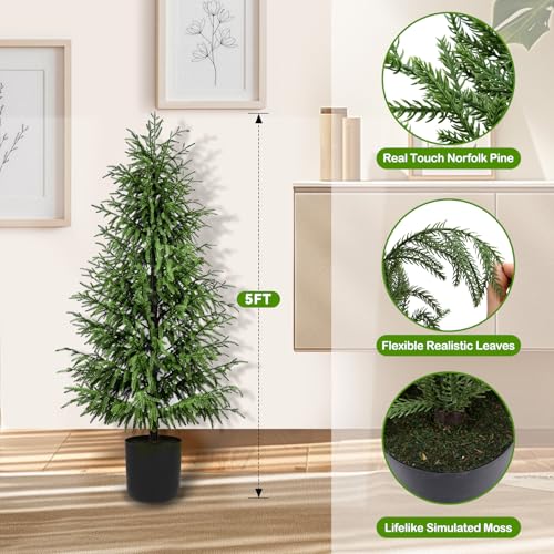 ENVEN 5FT Artificial Norfolk Pine Christmas Tree - 2 Pack, Unlit, Real-Touch PE, Pet & Family Friendly, Black Pot, Indoor Outdoor Decor