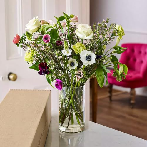 Clear Glass Cylinder Vases Set of 6 - 6 x 3.4 Inch Short Vases for Centerpieces