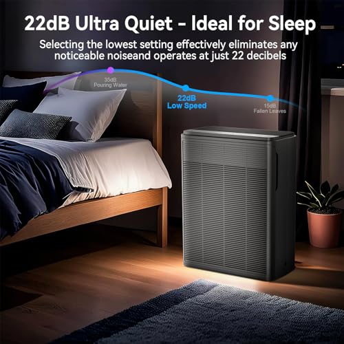 Large Room Air Purifier for Home with H13 HEPA Filter, Black