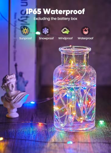 Brightown Multicolor Fairy Lights 12 Pack Battery Operated Holiday Decor