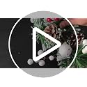 6-Inch Natural Grapevine Wreaths, 6-Piece Set for DIY Crafts and Decor