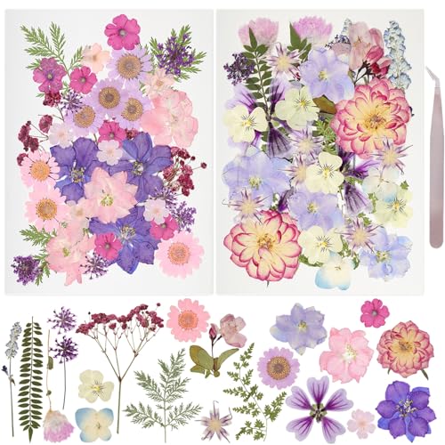 50-Piece Real Dried Pressed Flowers Kit with Tweezers for Resin Crafting