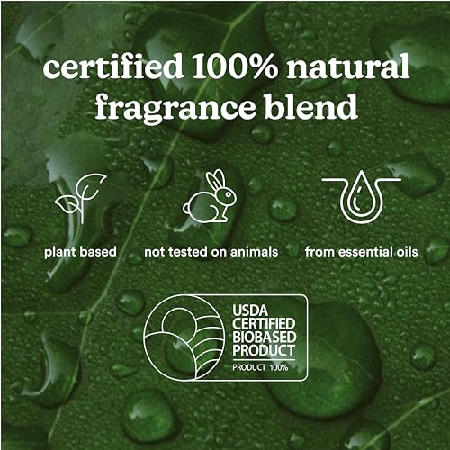 Maldives Escape Fragrance Oil Refill for Waterless Diffusers, 120ml