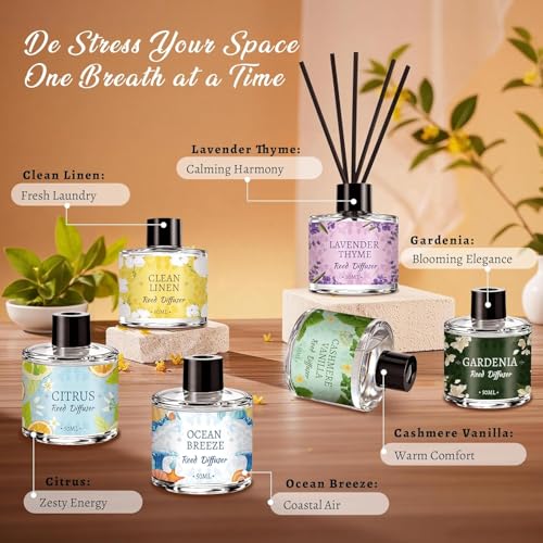 6-Pack Reed Diffuser Set with 30 Sticks, Long-Lasting Aromatherapy Home Fragrance