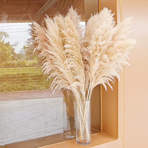 46-Inch Natural Dried Pampas Grass Decor - 10 Stems Fluffy Boho Bouquet