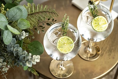 25 oz Large Copa de Balon Gin Glasses - Set of 2 Crystal Balloon Goblets