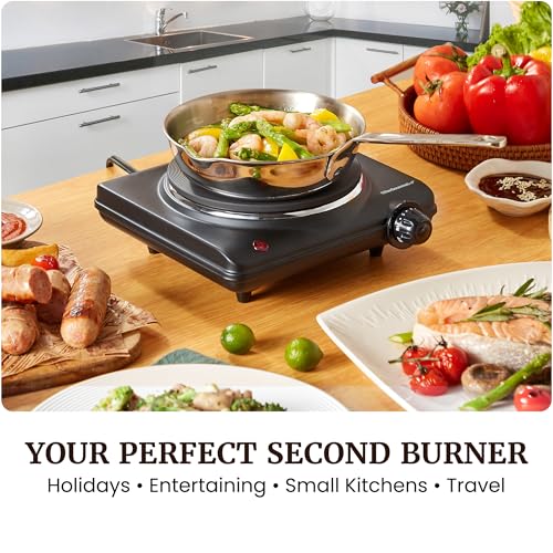 1000W Portable Electric Single Burner Hot Plate with Cast Iron Cooktop