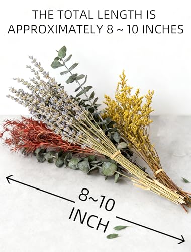Natural Dried Flowers Bouquet Set (12 Kinds) for DIY Crafts & Vase Decor