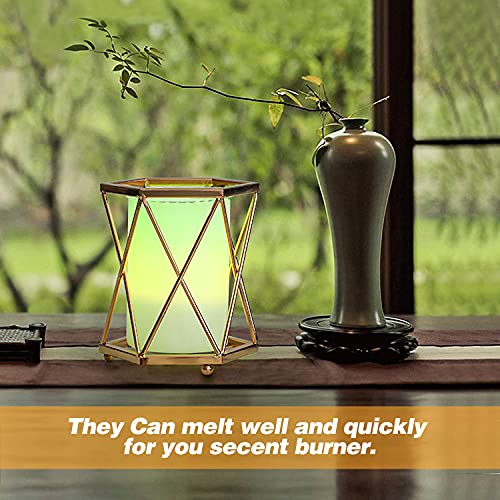 25 Watt Wax Warmer Light Bulbs, G50 E12 Candelabra Base, 6 Pack
