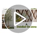 6FT Artificial Eucalyptus Tree - Lifelike Faux Potted Plant