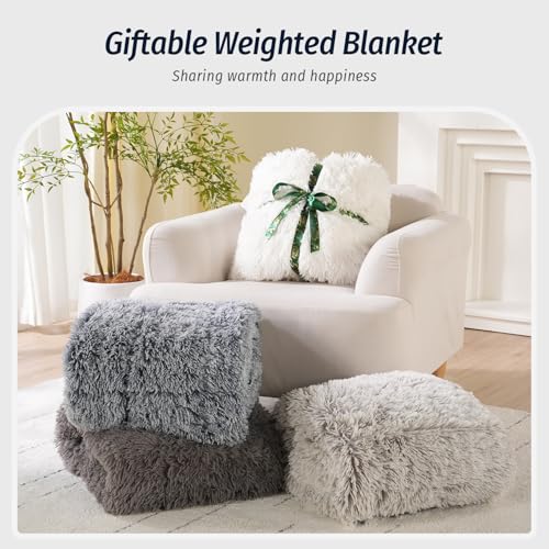 Weighted Blanket 15lbs Twin Size Faux Fur - Soft Plush Throw