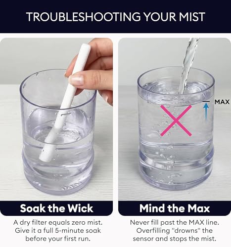 Portable Cool Mist Ultrasonic Humidifier with Auto Shut Off 250ml