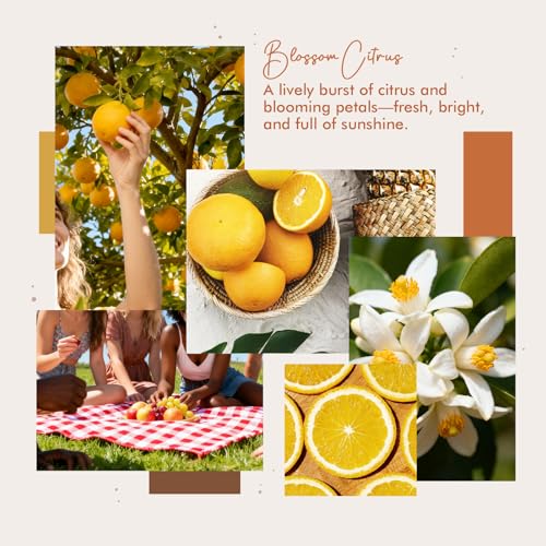 Blossom Citrus Room Spray 4 fl oz – Long-Lasting Air Freshener