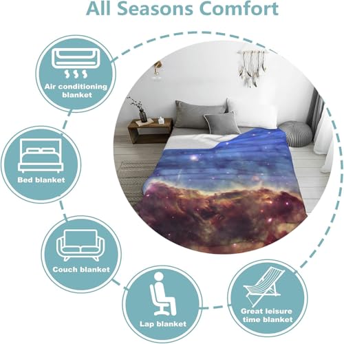 80x60 Inch Flannel Plush Throw Blanket - Cozy Cardinal & Flowers Design - Soft & Warm Home Decor