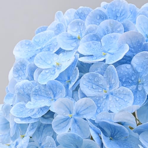 Real Touch Artificial Hydrangea Flowers 21" Large Stems, 3-Pack (Blue)