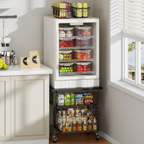 Mini Fridge Stand with 2 Drawers - Heavy Duty Mobile Refrigerator Cart