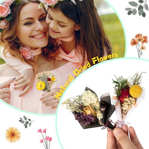 10 Pcs Natural Dried Flowers Bouquet for DIY Crafts and Home Decor