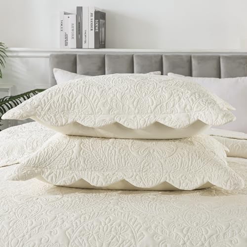 HoneiLife Oversized Queen Quilt Set - 3-Piece Lightweight Bedspread (Beige)