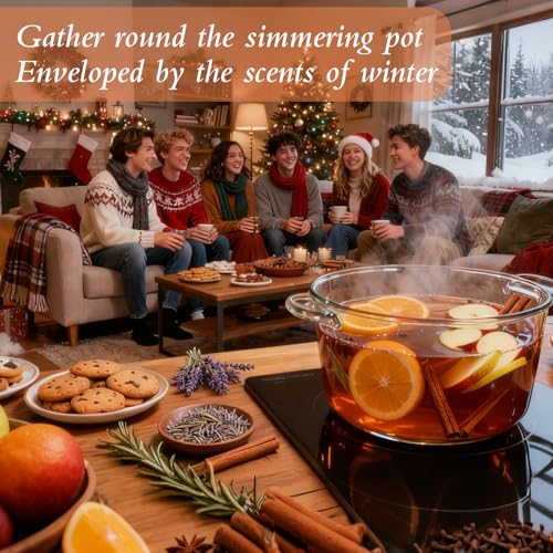 Natural Stovetop Potpourri Simmer Mix - Dried Fruit, Cinnamon & Clove