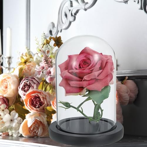 PATIKIL 7.3x5.9 Inch Clear Borosilicate Glass Cloche with Wooden Base for Home Decor and Display