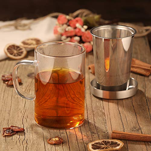 ecooe Silver 16.9oz Glass Tea Cup with Infuser & Lid, 430ml Capacity