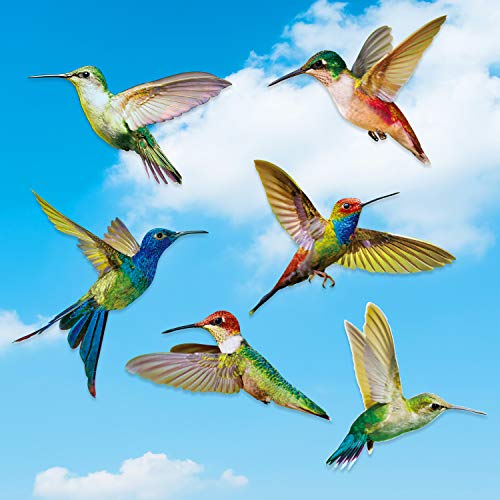 Hummingbird Window Decals - 6 Pack Colorful Anti-Collision Stickers