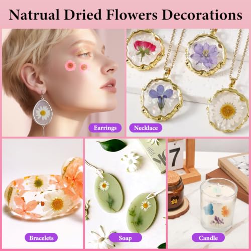 420 Pcs Real Dried Pressed Flowers & Leaves for Resin Crafts & DIY
