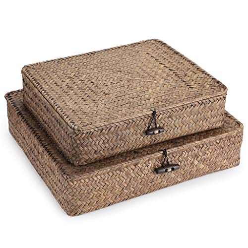 Set of 2 Woven Seagrass Storage Bins with Lids Coffee Flat Baskets