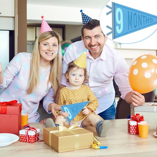 14 Pcs Baby Monthly Milestone Pennant Banner - Felt Photo Prop for Birthdays