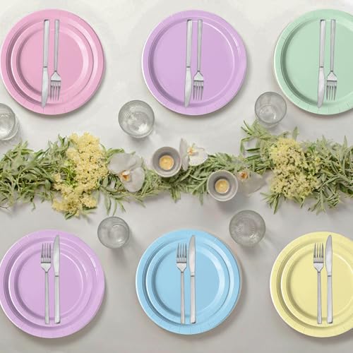 Oigco Pastel Paper Plates and Napkins Set - Rainbow Party Decorations, 60 pcs, Birthday Baby Shower Wedding