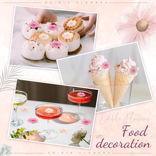 96 Pcs Natural Pressed Dried Flowers for Resin Art, Candle Making, and Decor