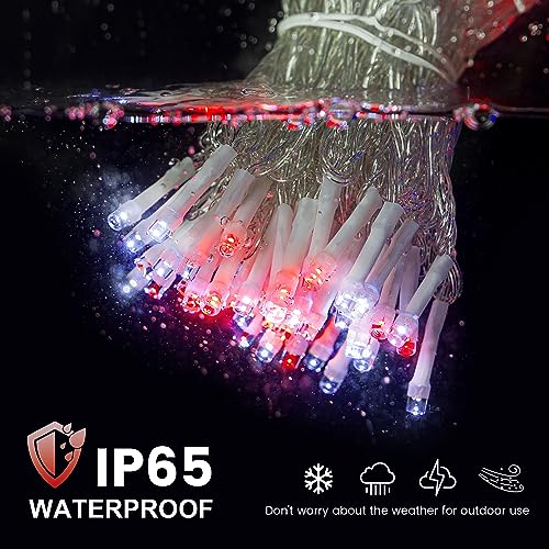 Hopolon 33 FT 100 LED String Lights Indoor Outdoor,Red and White