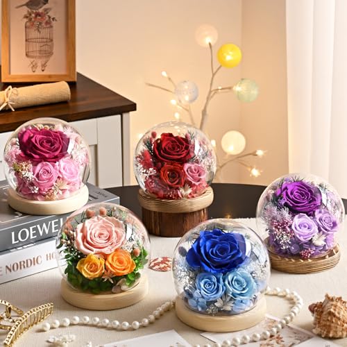 Preserved Purple Rose in Glass Dome with LED Lights, Eternal Flower Gift