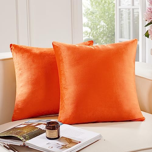 Deconovo Decorative Velvet Throw Pillow Covers for Sofa Couch 20x20 in, Fall Soft Square Cushion Cases for Living Room Decor Bedroom, Set of 2, Orange