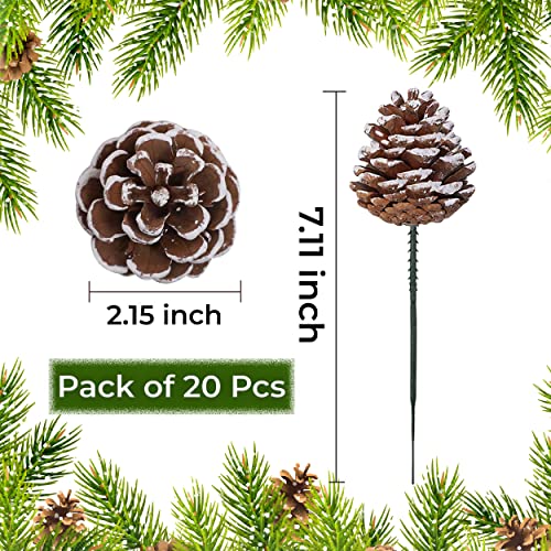 20 Pcs Snow Frosted Pine Cone Picks with Stems for Holiday Decor