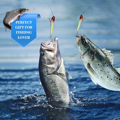 Fishing Advent Calendar 2026 - 24 Days Christmas Countdown Lures Set