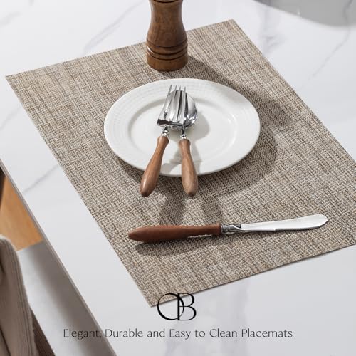 Woven Vinyl Placemats Set of 4 - Easy Clean Washable Dining Table Mats