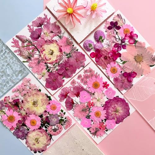 132pcs Natural Dried Pressed Flowers and Butterfly Stickers for Resin Crafts