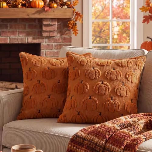 Rust Orange Pumpkin Throw Pillow Covers 18x18 - Set of 2 Fall Autumn Decor