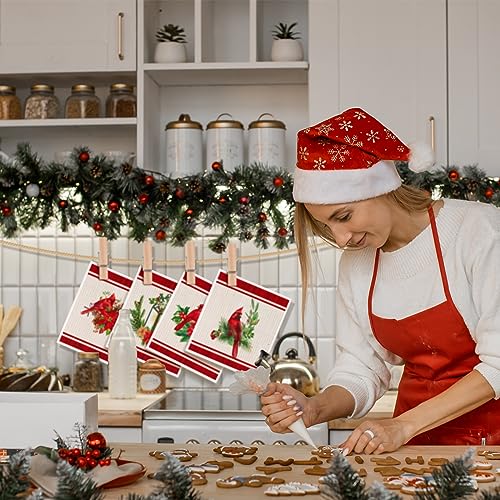 Maxcheck 6-Pack Christmas Cardinal Kitchen Towels 6.9 x 7.7 inches