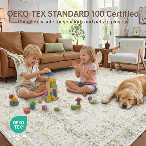 8x10 Area Rug, Washable Low-Pile Faux Cashmere Carpet for Living Room